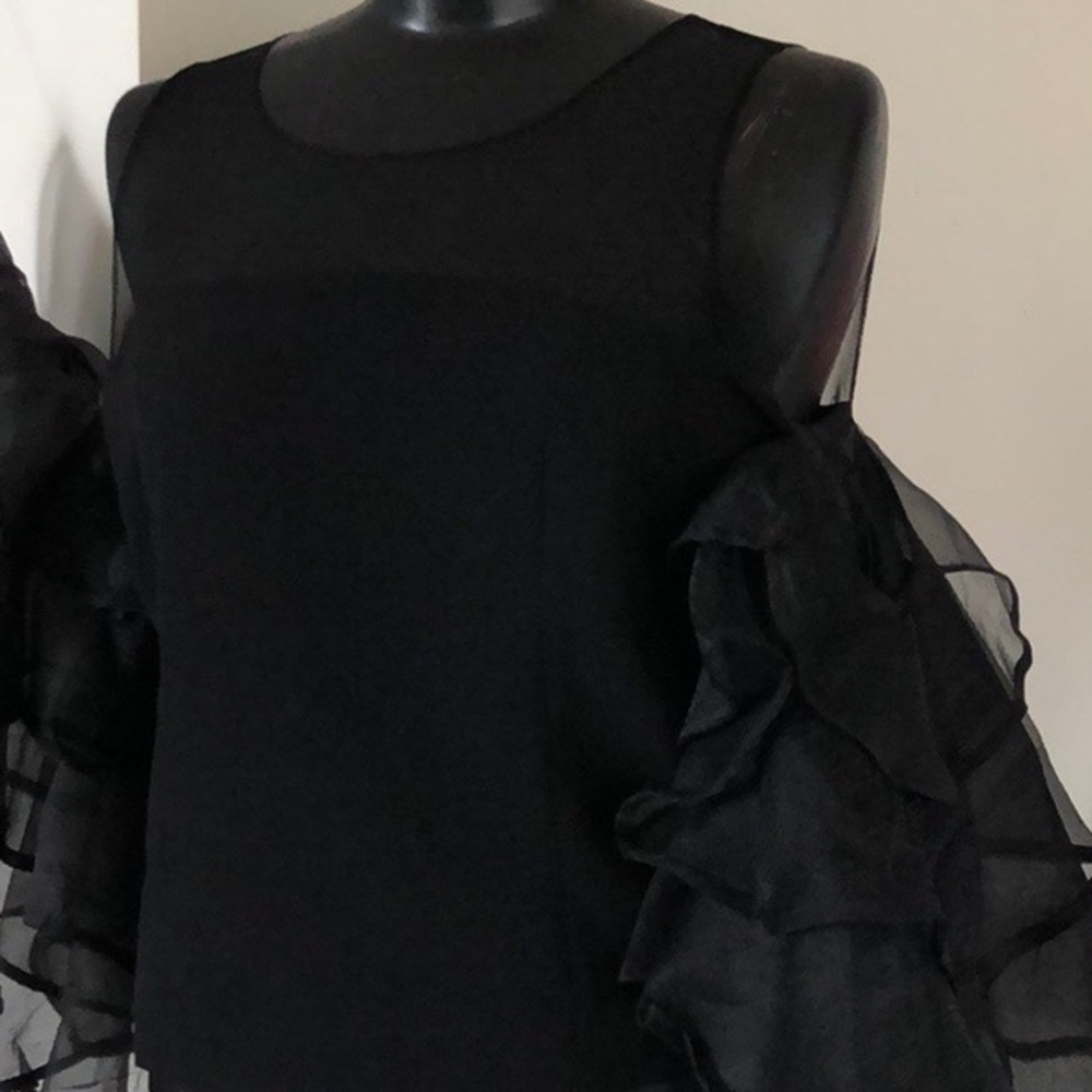 Sheer Ruffled Sleeve Top - Picture 6 of 7